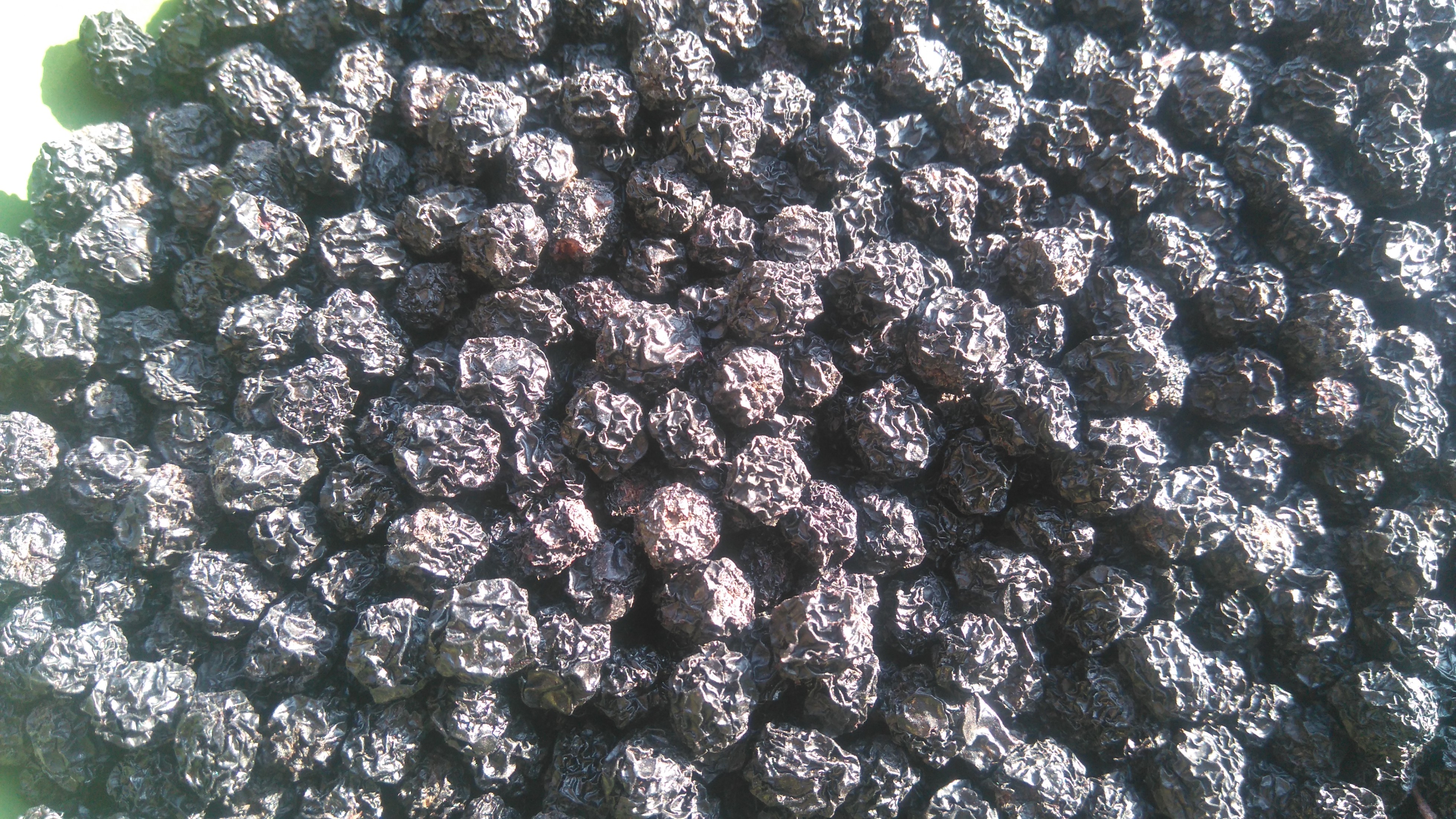 Aronia suszona sprzedam