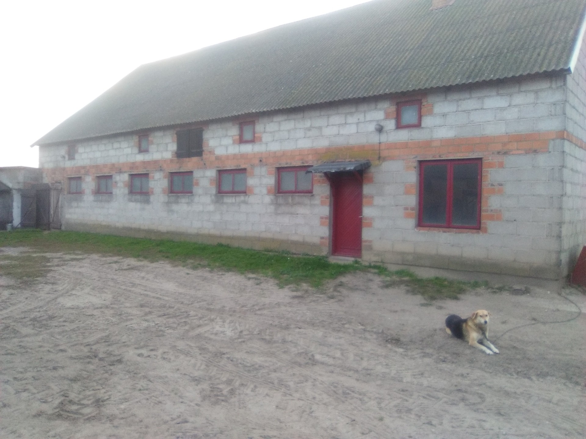 DO WYNAJĘCIA DOM WRAZ Z BUDYNKAMI GOSPODARCZO-MAGAZYNOWYMI — zdjęcie 5
