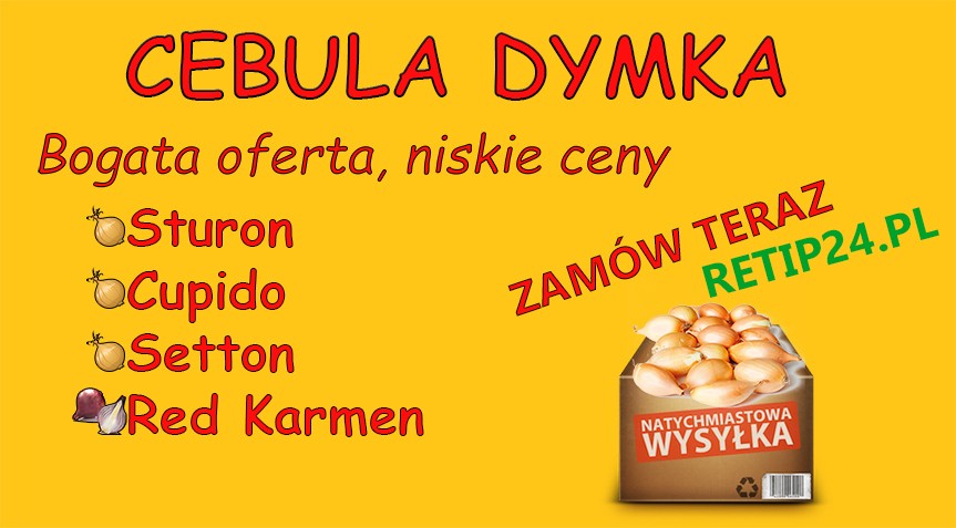 Cebula Dymka Red Karmen,Sturon,Cupido,Setton RETIP24.PL — zdjęcie 4
