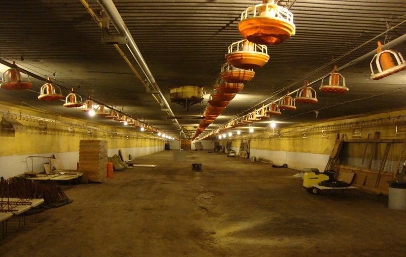 Kurnik 1200 m2 - świetna lokalizacja k/Mińska Maz. — zdjęcie 5