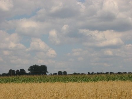 Gospodarstwo rolne, stajnie — zdjęcie 3