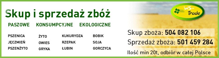 Kupię łubin słodki i gorzki 