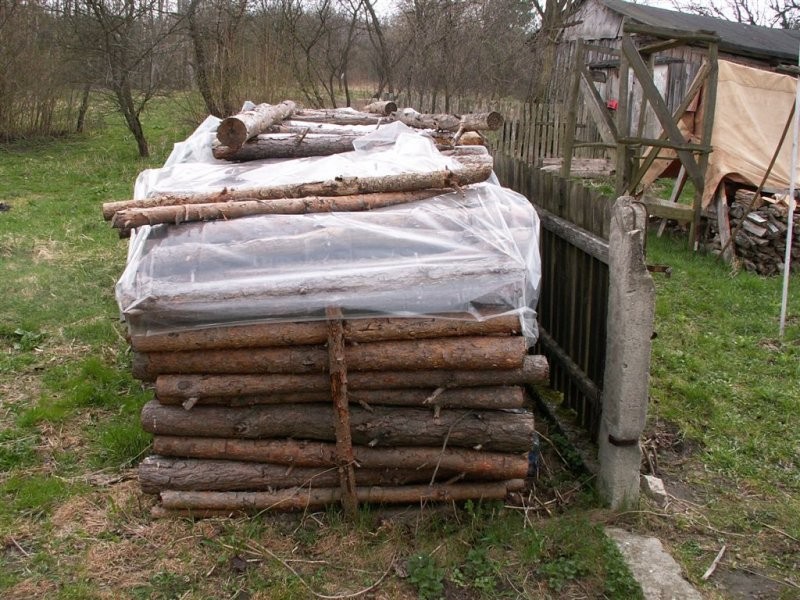 Drzewo sosnowe na opał, suche, roczne - 7.5 m3 — zdjęcie 1