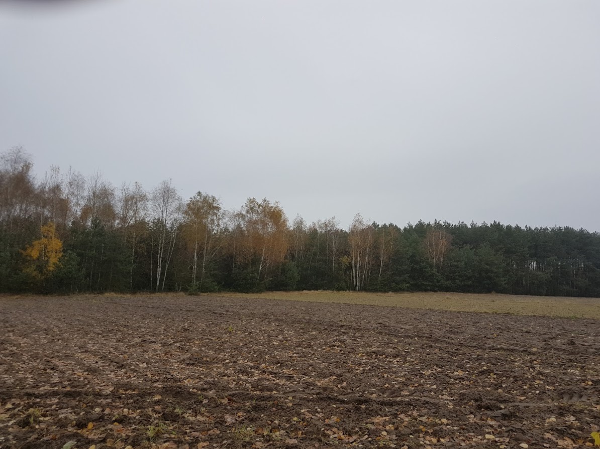 Sprzedam ziemię rolną 3.5 h pod Radomiem (Stromiec) — zdjęcie 1