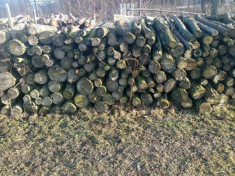 sprzedam  drewno opałowe — zdjęcie 2