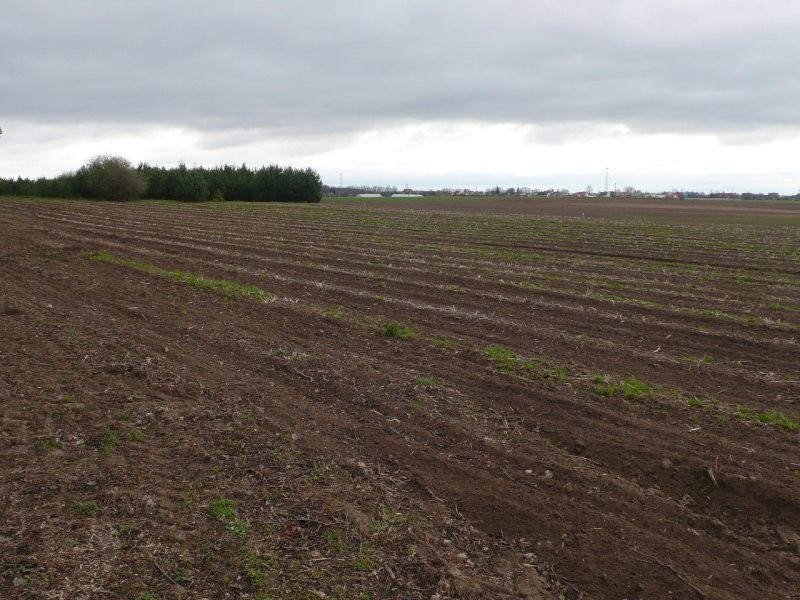 Działki budowlane - ok. Lubasza gm.Czarnków — zdjęcie 2