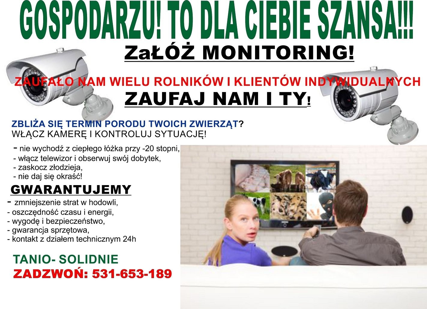 monitoring kamery obory świnie krowy bydło klatki
