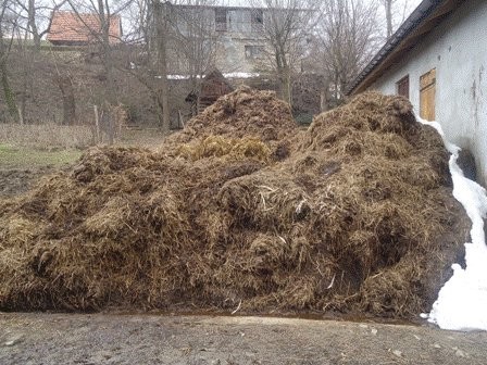 sprzedam obornik bydlęcy — zdjęcie 2