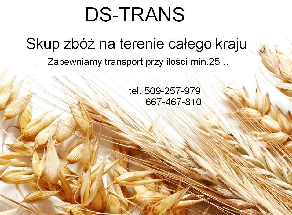 Skup zbóż                           