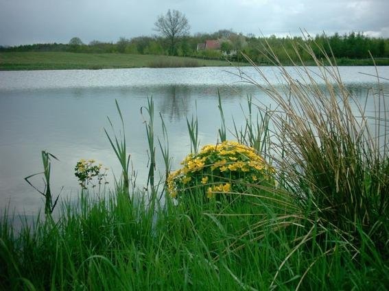 Sprzedam gospodarstwo agroturystyczne - 26ha — zdjęcie 3