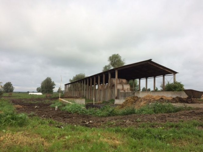 Sprzedam gospodarstwo rolne — zdjęcie 4