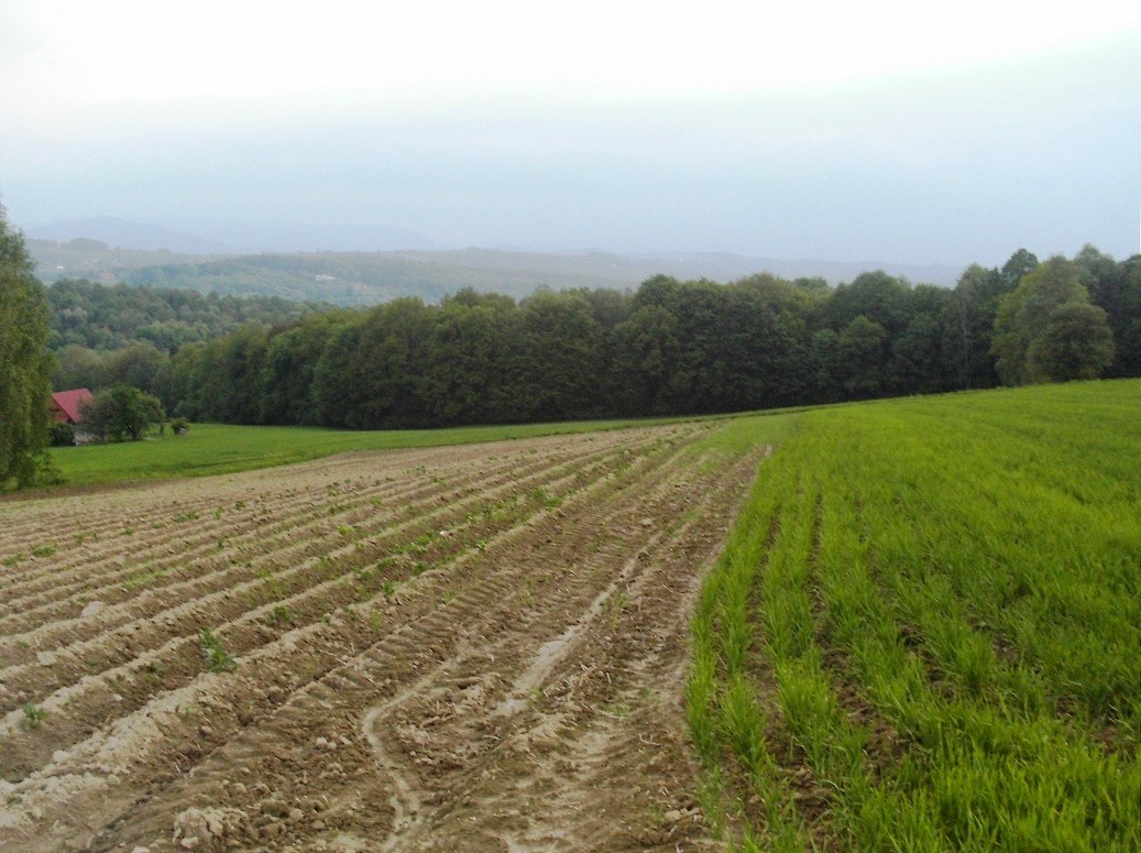 Działka budowlano-rolna 29 km od Krakowa z widokiem na góry — zdjęcie 1