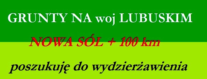 100 ha gruntów ornych poszukuję do dzierżawy
