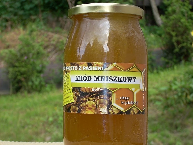 Miód spadziowy , i inne miody sprzedaż — zdjęcie 2