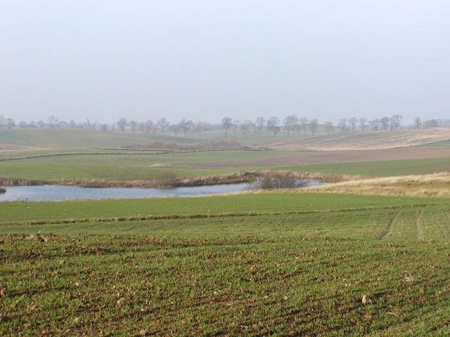Mazury -10ha ze stawem przy lesie — zdjęcie 4