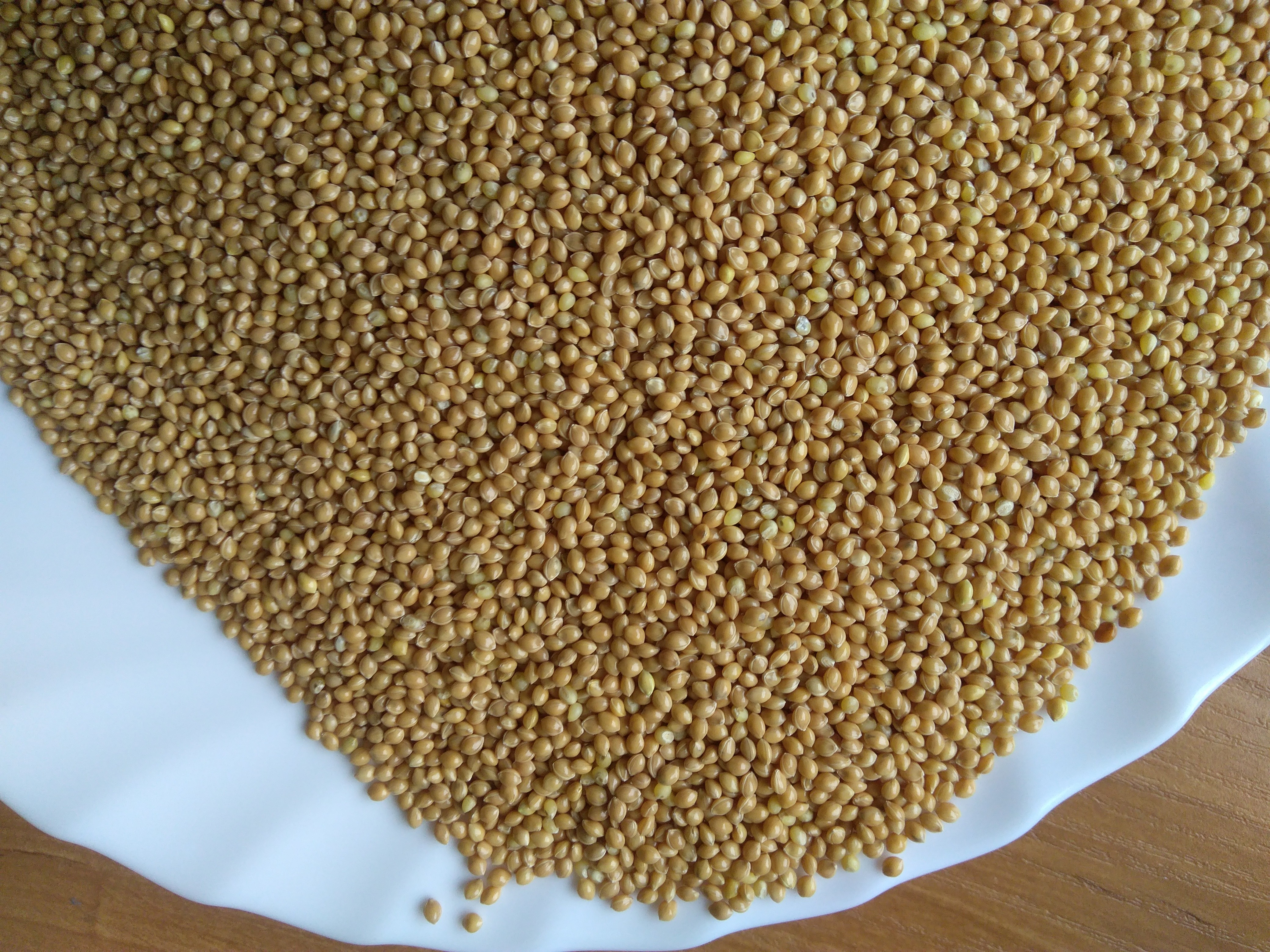 Agro-viktori sp z oo