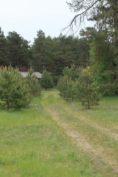 Sprzedam dzialke — zdjęcie 4