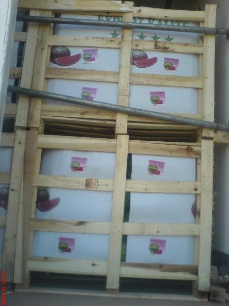 Sprzedam - Arbuz CRIMSON 0,29 EUR/kg — zdjęcie 6