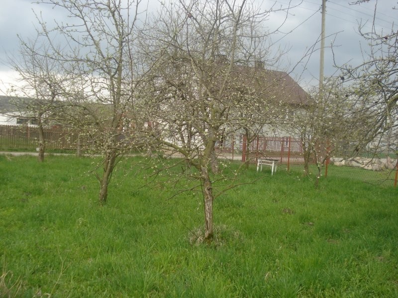 gospodarstwo rolne — zdjęcie 1