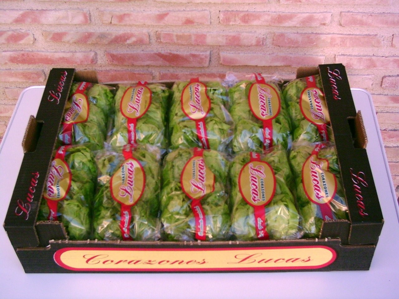 Owoce i Warzywa producenci Hiszpania — zdjęcie 2
