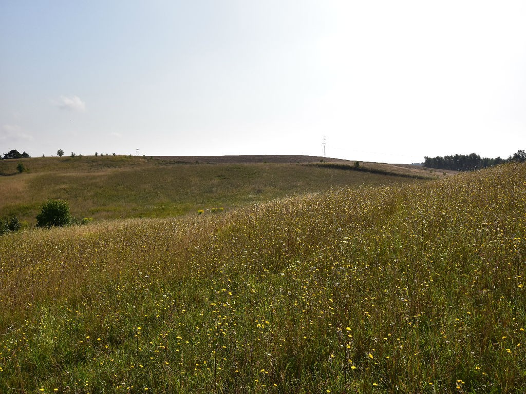 Na Sprzedaż Gospodarstwo Rolne , 507 799 m2 , Szczecin - Czepino  — zdjęcie 7
