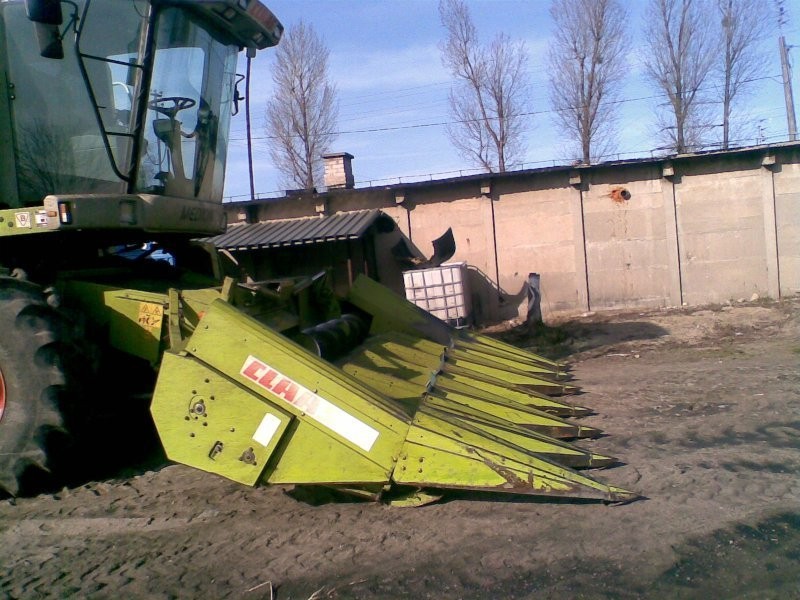 CLAAS Przystawka do zbioru kukurydzy na ziarno — zdjęcie 5