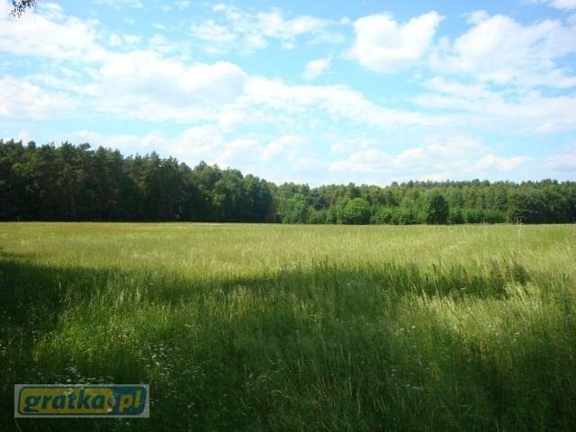 Piękna nieruchomość, gm.Skoki, 2.5ha, — zdjęcie 1