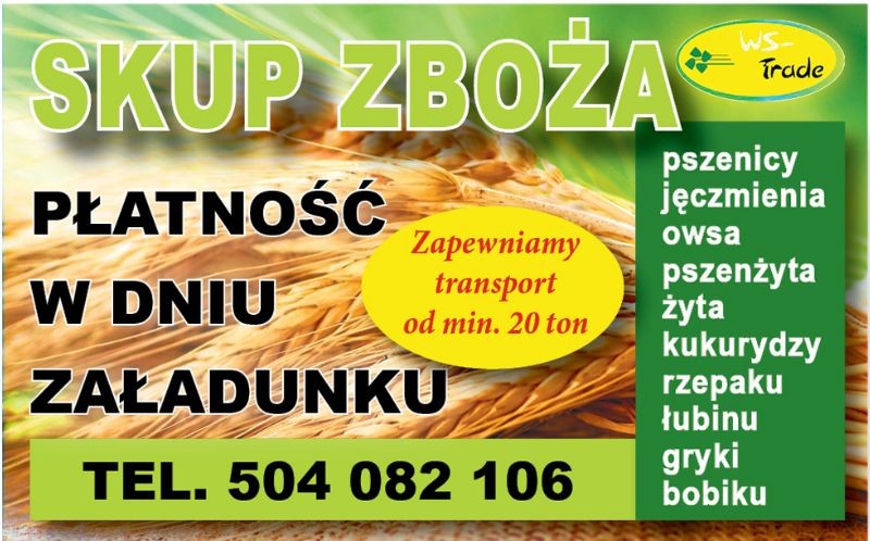 kupię pszenicę- skup pszenicy