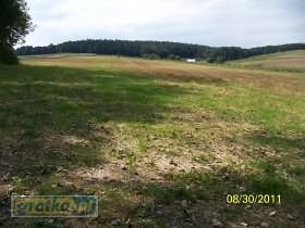 Gospodarstwo rolne 3,5 ha 15 km od Miechowa OKAZJA — zdjęcie 2