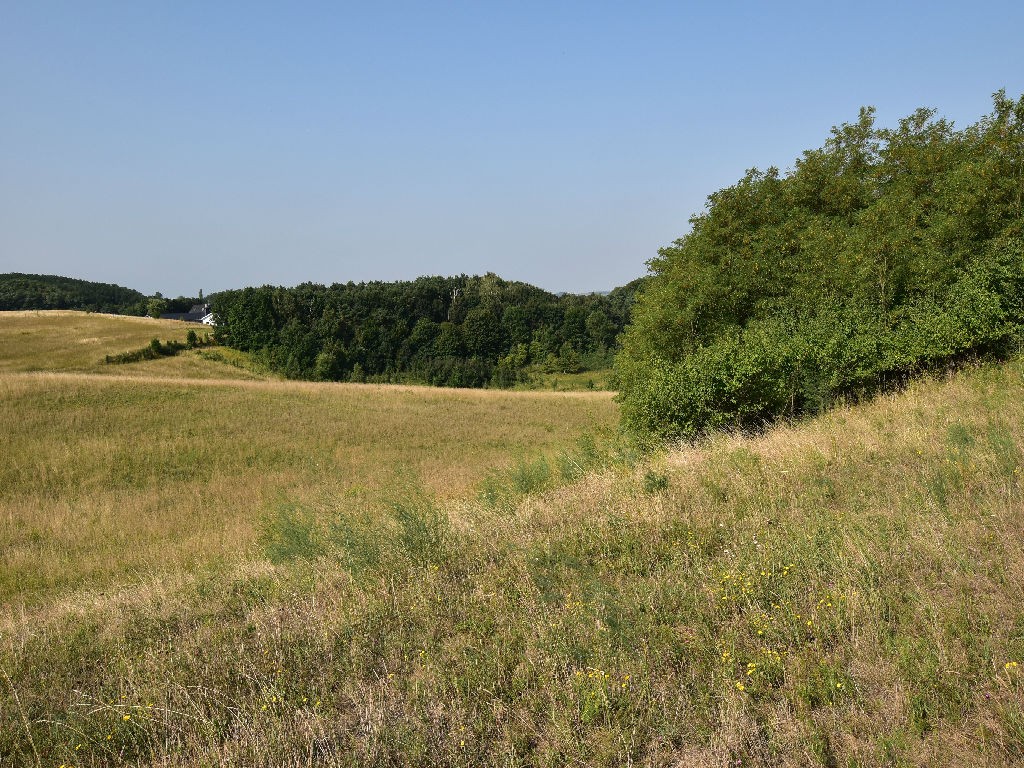 Na Sprzedaż Gospodarstwo Rolne , 507 799 m2 , Szczecin - Czepino  — zdjęcie 3