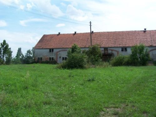 Sprzedam działkę 6000m2 i 12ha gruntu rolnego Lca.Rosochata