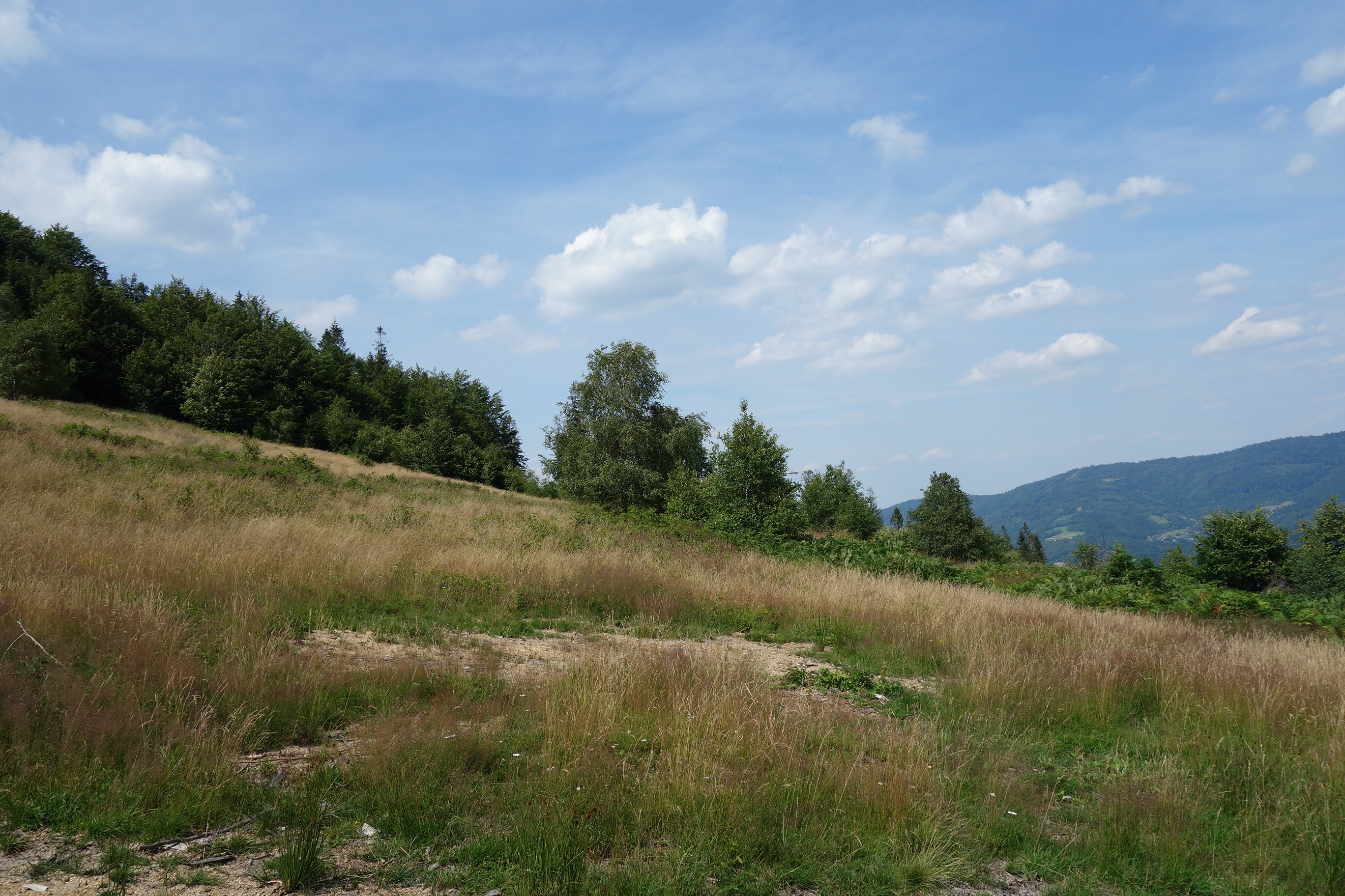 Beskidy Brenna 2,53 ha z prawem zabudowy blisko wyciągu orczykowego — zdjęcie 3