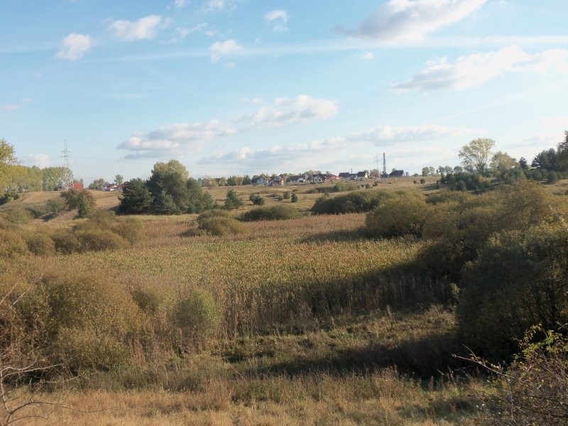 Torf w złożu