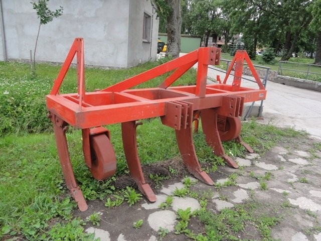 Głębosz 5 zębów — zdjęcie 1
