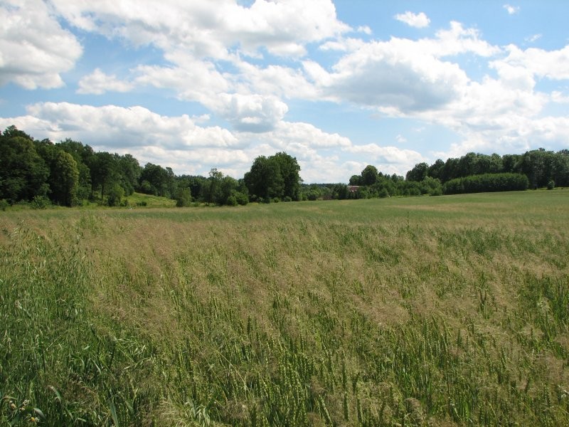 Sprzedam gospodarstwo rolne i 2 stawy hodowlane — zdjęcie 4