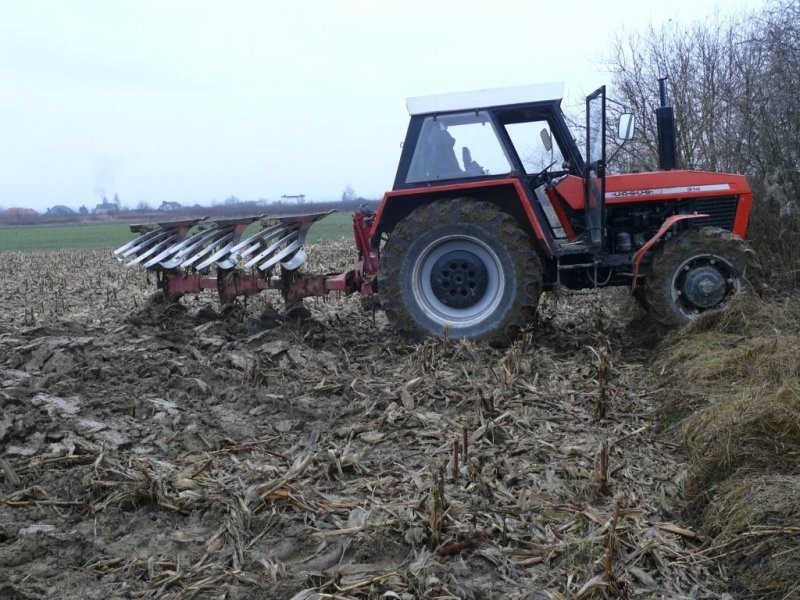 Zetor 80-45 odpowiednik Ursus+pług Krone/lub osobn — zdjęcie 4