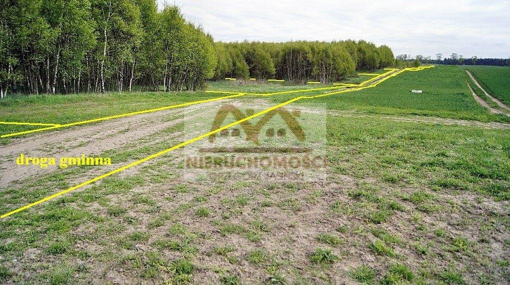KOŁOBRZEG - 17 km (działki 3.000 m2 z lasem) — zdjęcie 3