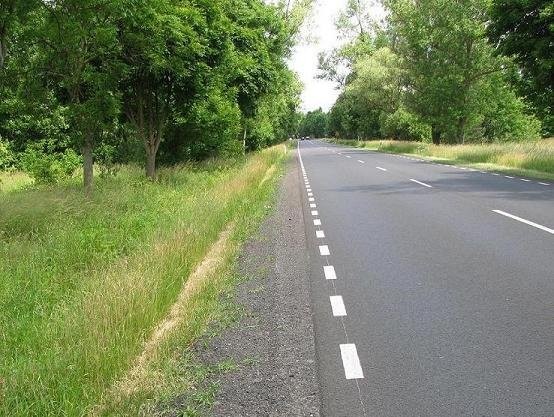 sprzedam łąki 29 ha w pobliżu Zielonej Góry — zdjęcie 4