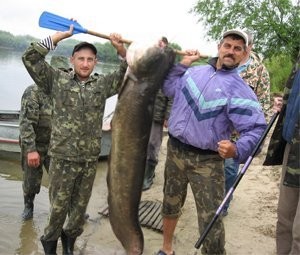 Ukraina.Gospodarstwo rolne,byla ferma trzody.Tanio — zdjęcie 4