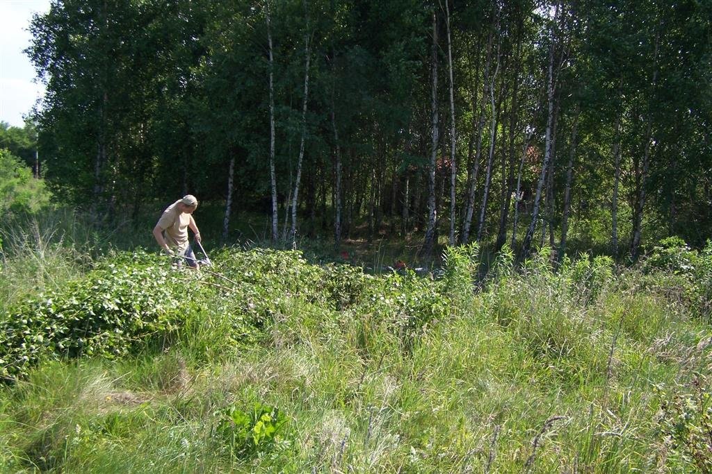 Porządkowanie działek - przygotowanie pod budowę, — zdjęcie 3
