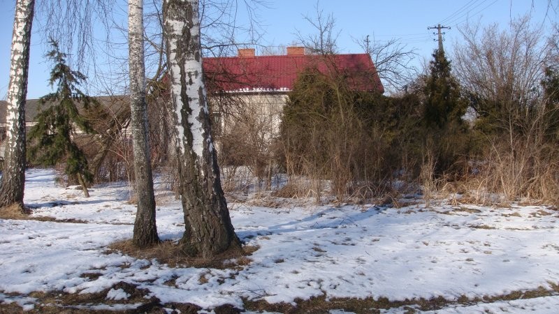 Gospodarstwo rolne 4,5ha — zdjęcie 3