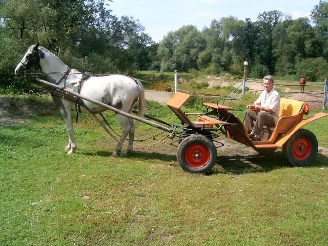 SPRZEDAM KONIA