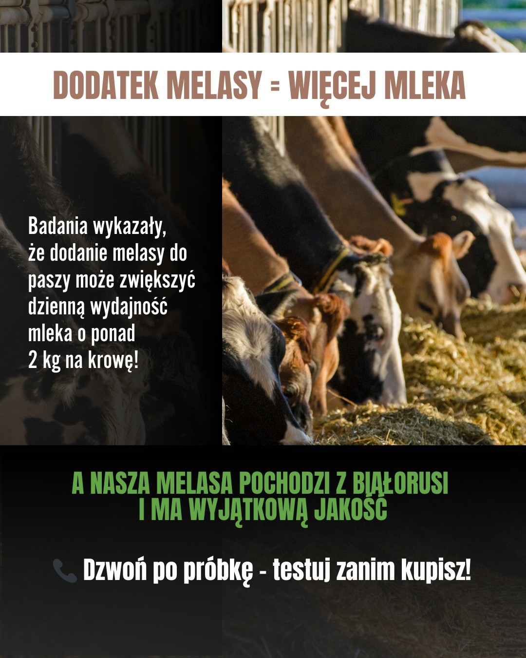 Melasa buraczana o wysokiej jakosci  — zdjęcie 1