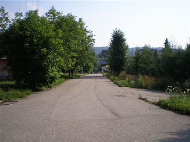 Gospodarstwo Rolno-Hodowlane we wsi Bonarówka — zdjęcie 6