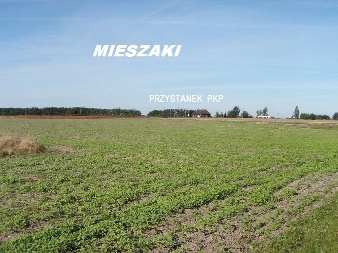 Sprzedam działkę komercyjną  w okolicach Sierpca — zdjęcie 2