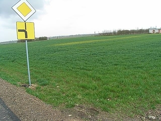 Sprzedam ziemię w okolicach Lublina (2,5ha) — zdjęcie 1