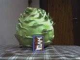 SPRZEDAM KALAREPĘ I DYNIĘ