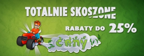 Ogród Ogrody Ogrodnik koszenie trawy tuje Wisła Ustroń Brenna Górki — zdjęcie 3