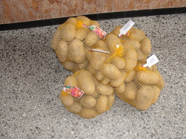 SPRZEDAZ ZIEMNIAKOW PACZKOWANYCH SIATKA 2.5KG — zdjęcie 2