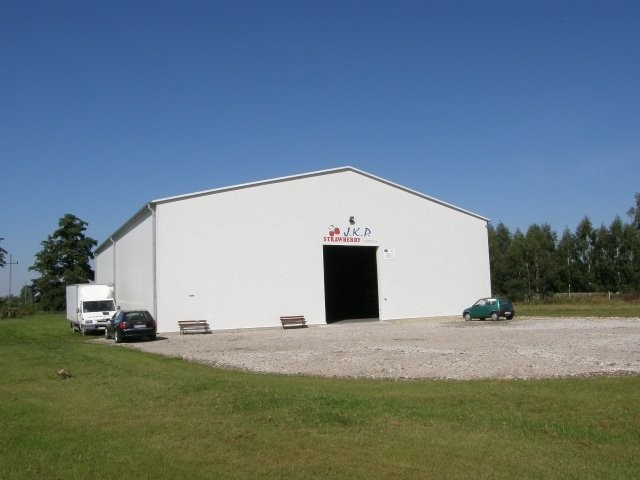 Poszukuje odbiorców truskawki — zdjęcie 4